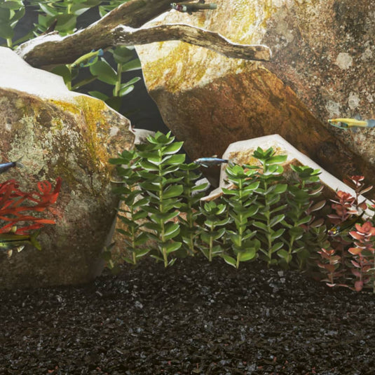 Vidaxl aquariumzand 10 kg 0,2-2 mm zwart