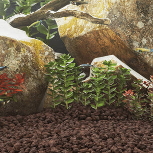Vidaxl lavastenen 10 kg 3-5 cm rood
