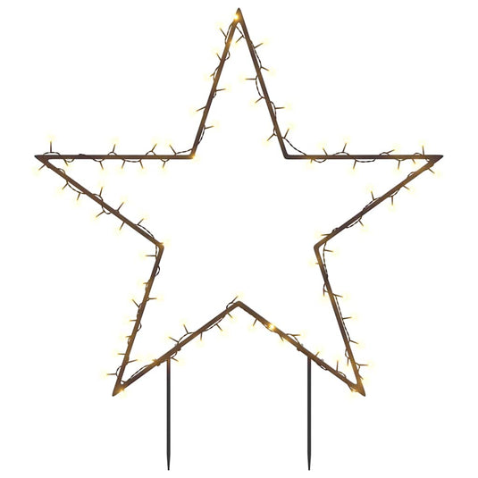 Vidaxl kerstverlichting ster met grondpinnen 80 led's 60 cm