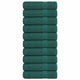 Vidaxl badhanddoeken 10 st 100x150cm 360 g m² 100% katoen groen