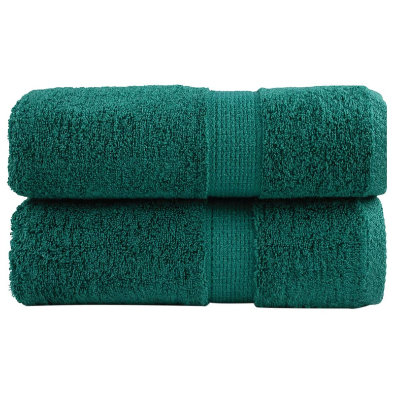 Load image into Gallery viewer, Vidaxl gastendoekjes solund 2 st 600 g m² 30x50 cm groen
