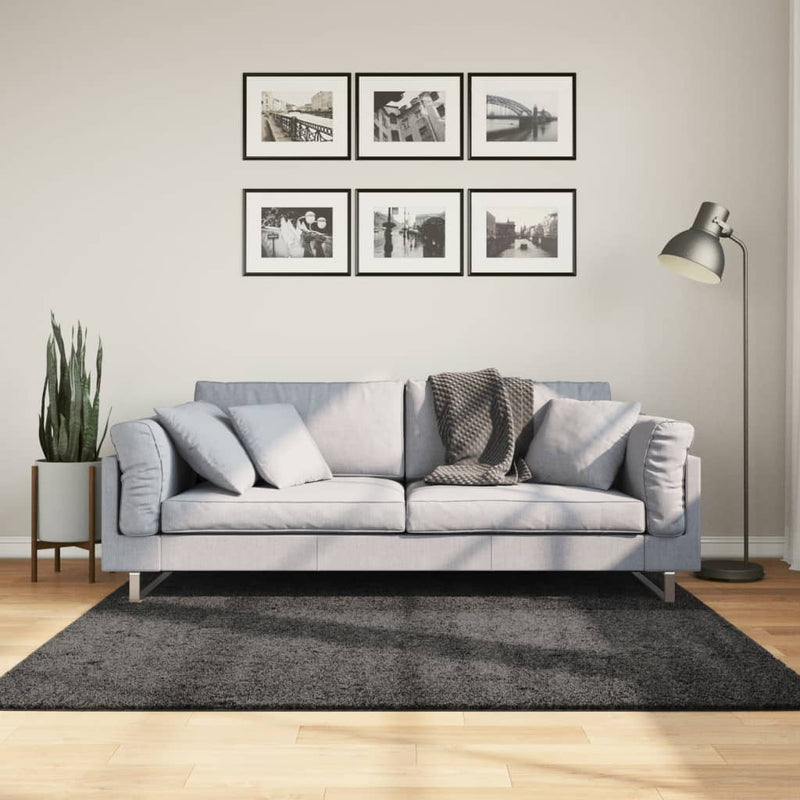 Load image into Gallery viewer, Vidaxl vloerkleed pamplona shaggy hoogpolig 160x160 cm antraciet
