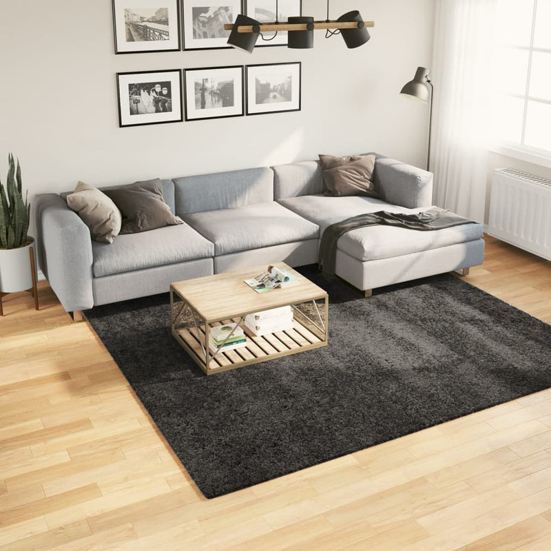 Load image into Gallery viewer, VidaXL Vloerkleed PAMPLONA shaggy hoogpolig 240x240 cm antraciet
