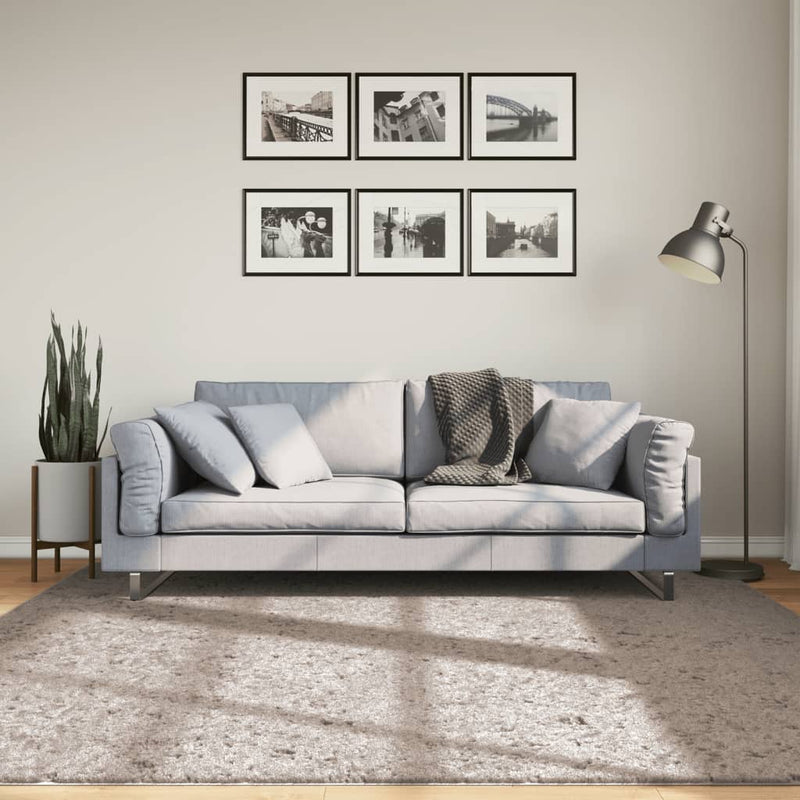 Load image into Gallery viewer, Vidaxl vloerkleed pamplona shaggy hoogpolig modern 200x200 cm beige
