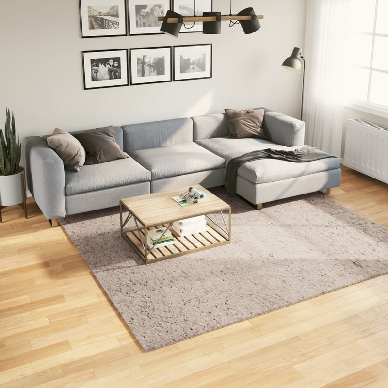 Load image into Gallery viewer, Vidaxl vloerkleed pamplona shaggy hoogpolig modern 240x240 cm beige
