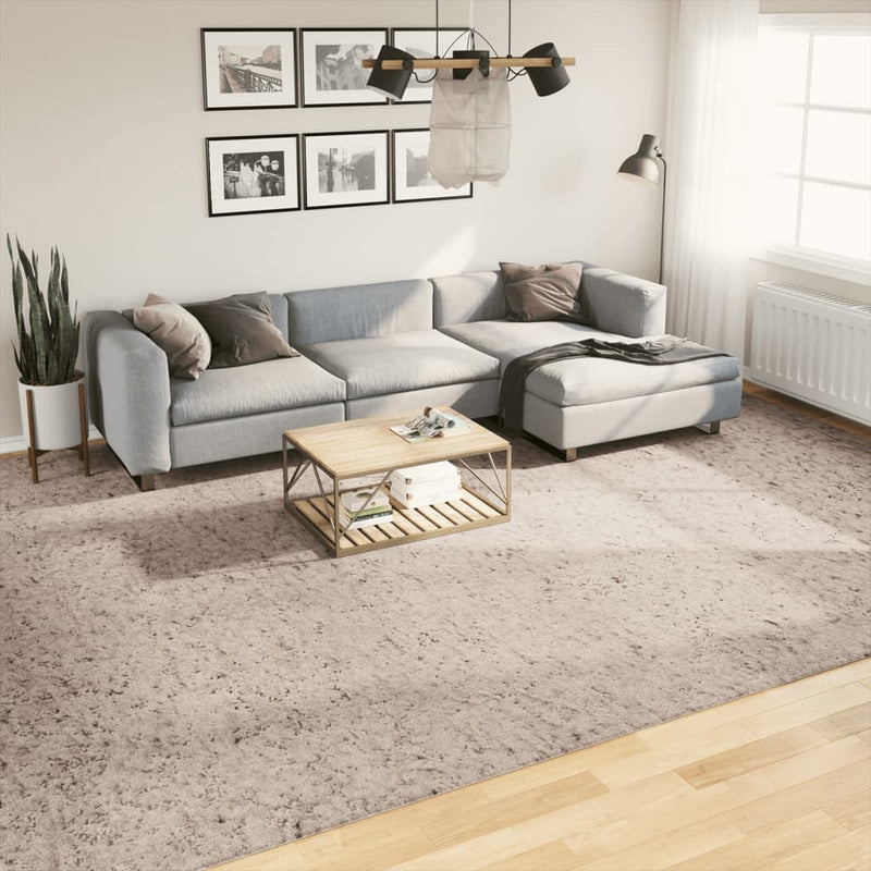 Load image into Gallery viewer, VidaXL Vloerkleed PAMPLONA shaggy hoogpolig modern 300x400 cm beige

