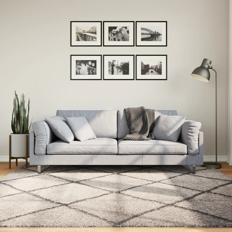Load image into Gallery viewer, VidaXL Vloerkleed PAMPLONA shaggy hoogpolig 200x200 cm beige antraciet
