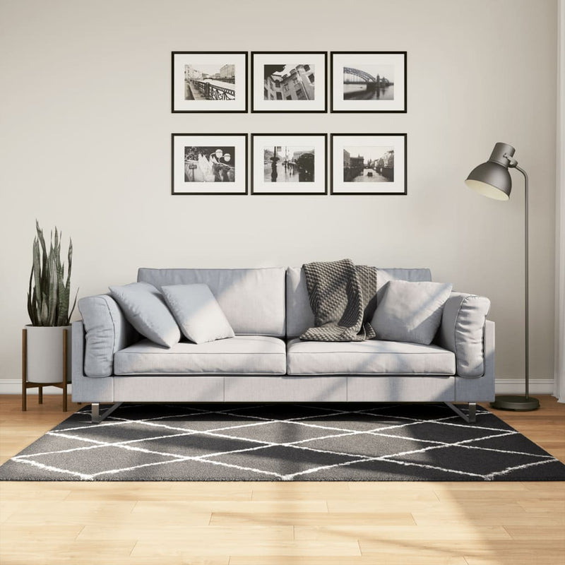 Load image into Gallery viewer, Vidaxl vloerkleed shaggy hoogpolig modern 120x170 cm zwart en crème
