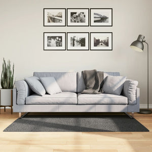 Vidaxl vloerkleed iza laagpolig scandinavisch 80x150 cm antraciet