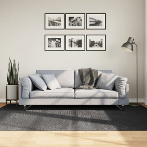 Vidaxl vloerkleed iza laagpolig scandinavisch 160x230 cm antraciet