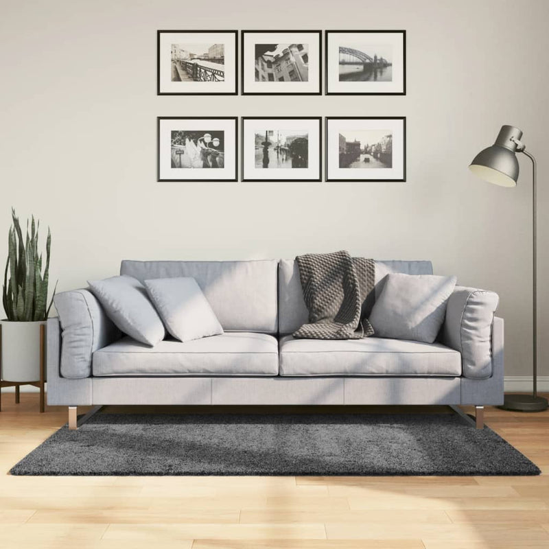 Load image into Gallery viewer, Vidaxl vloerkleed oviedo laagpolig 80x150 cm antracietkleurig
