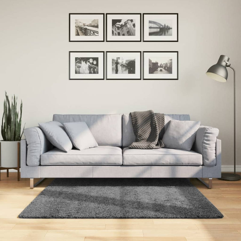 Laden Sie das Bild in Galerie -Viewer, Vidaxl vloerkleed oviedo laagpolig 120x120 cm antracietkleurig

