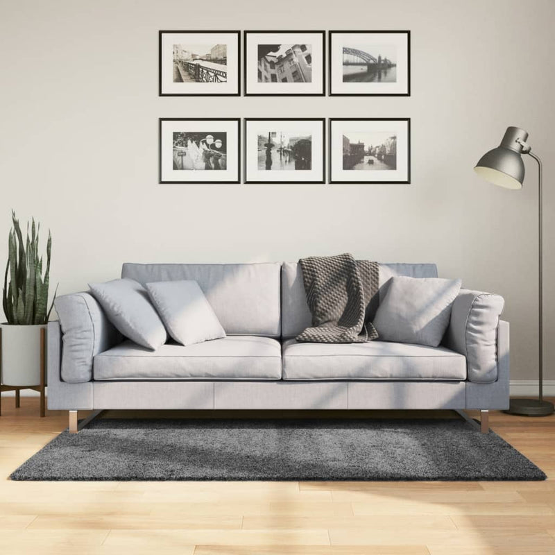 Load image into Gallery viewer, Vidaxl vloerkleed oviedo laagpolig 120x170 cm antracietkleurig
