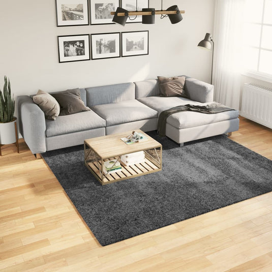 Vidaxl vloerkleed oviedo laagpolig 240x240 cm antracietkleurig
