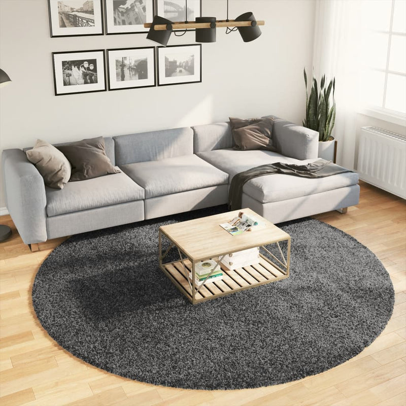 Load image into Gallery viewer, VidaXL Vloerkleed OVIEDO laagpolig Ø 240 cm antracietkleurig
