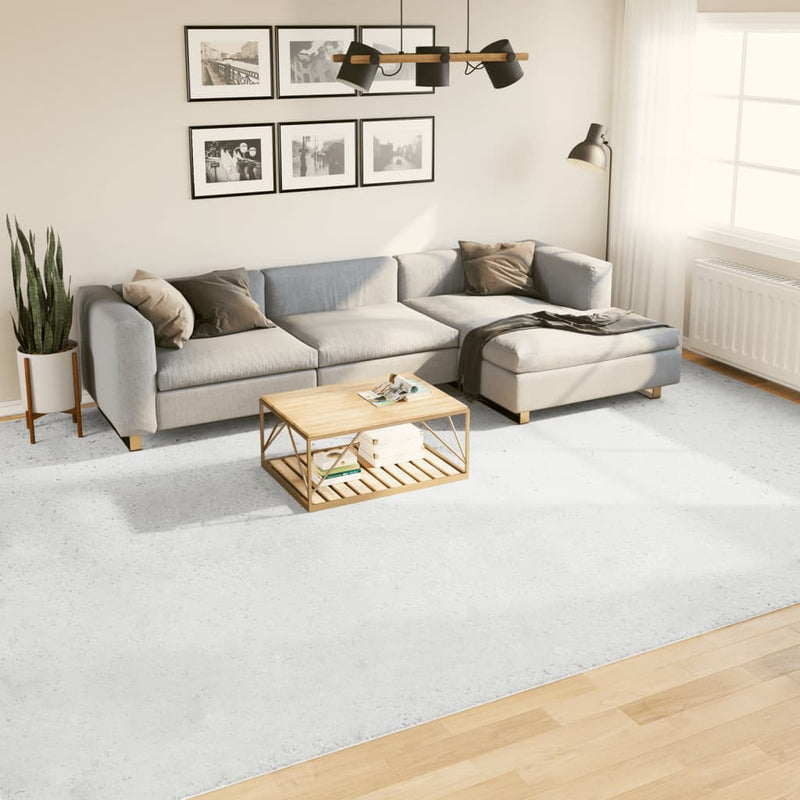 Load image into Gallery viewer, VidaXL Vloerkleed OVIEDO laagpolig 300x400 cm grijs

