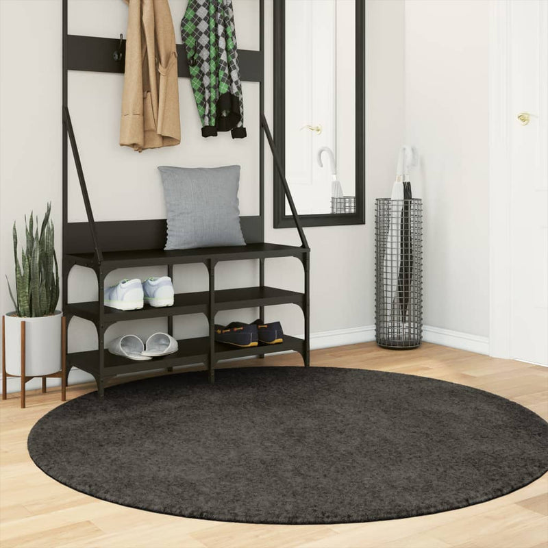 Load image into Gallery viewer, Vidaxl vloerkleed istan hoogpolig glanzend ø 160 cm antracietkleurig
