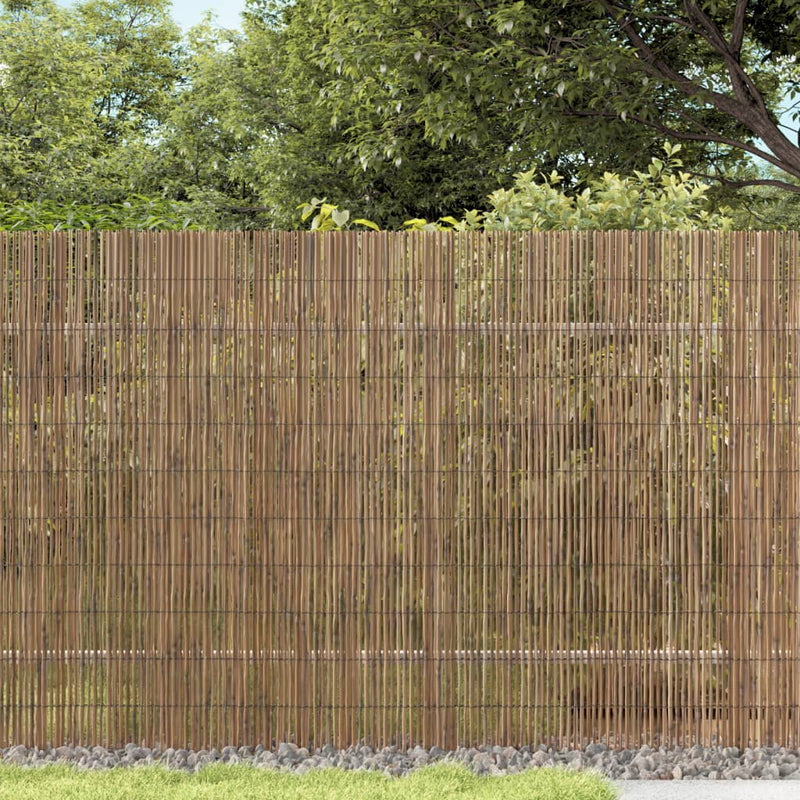 Chargez l'image dans la visionneuse de la galerie, Vidaxl tuinscherm 600x100 cm riet
