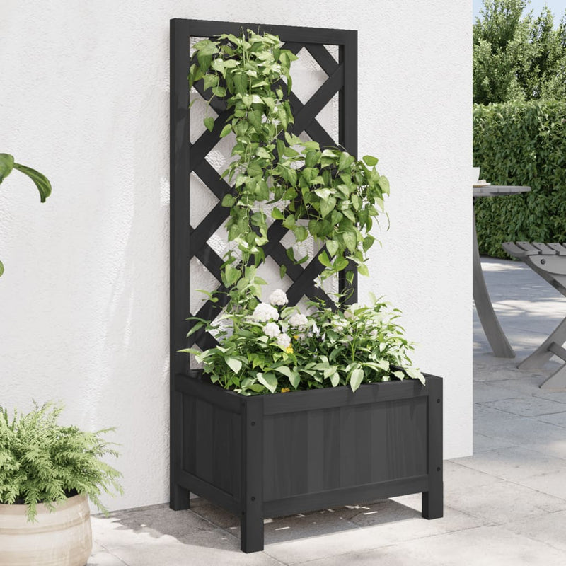Load image into Gallery viewer, Vidaxl plantenbak met latwerk massief vurenhout zwart
