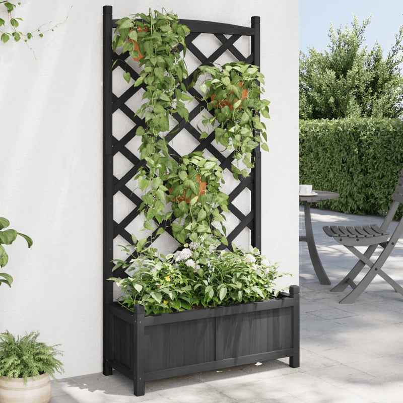 Load image into Gallery viewer, Vidaxl plantenbak met latwerk massief vurenhout zwart

