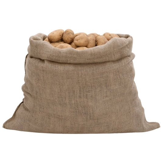 Vidaxl jutezakken 5 stuks 100x110 cm 100% jute 220 g m²