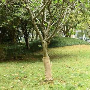 Vidaxl juterol 0,5x5 m 100% jute 200 g m²