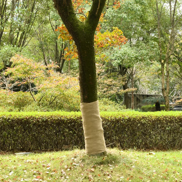 Vidaxl juterol 1x10 m 100% jute 200 g m²