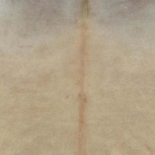 Vidaxl vloerkleed 180x220 cm echte koeienhuid beige