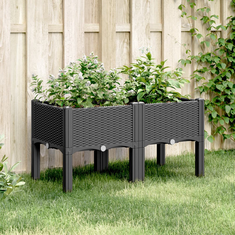 Load image into Gallery viewer, Vidaxl plantenbak met poten 80x40x42 cm polypropeen zwart
