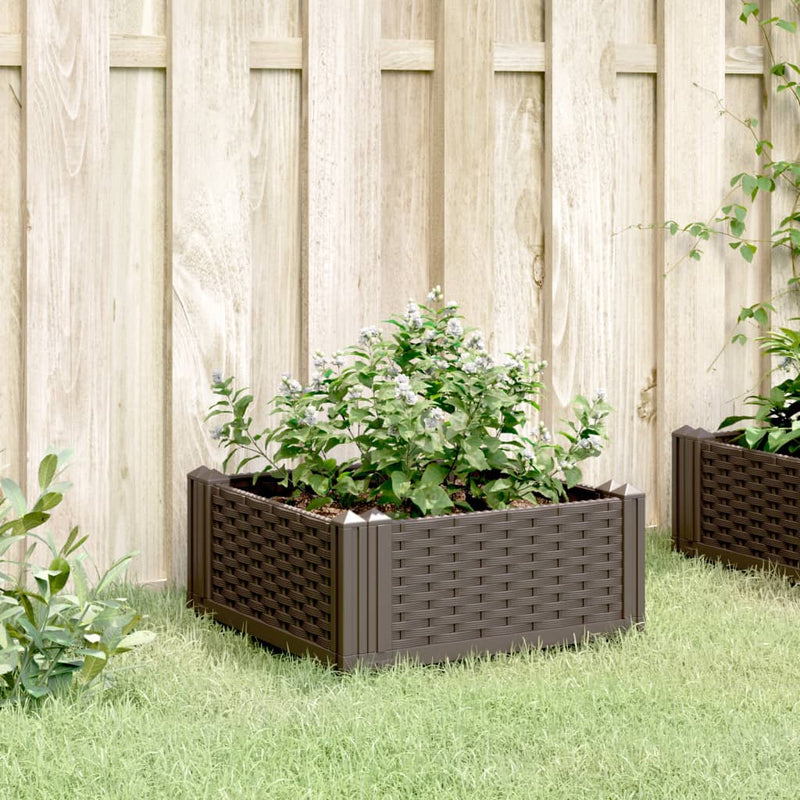 Load image into Gallery viewer, Vidaxl plantenbak met pinnen 42,5x42,5x28,5 cm polypropeen bruin
