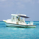 Vidaxl schaduwdoekset t-top 174x205x(115-194) cm marineblauw