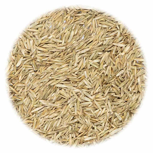 Vidaxl graszaad 5 kg