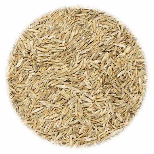 VidaXL Graszaad 20 kg
