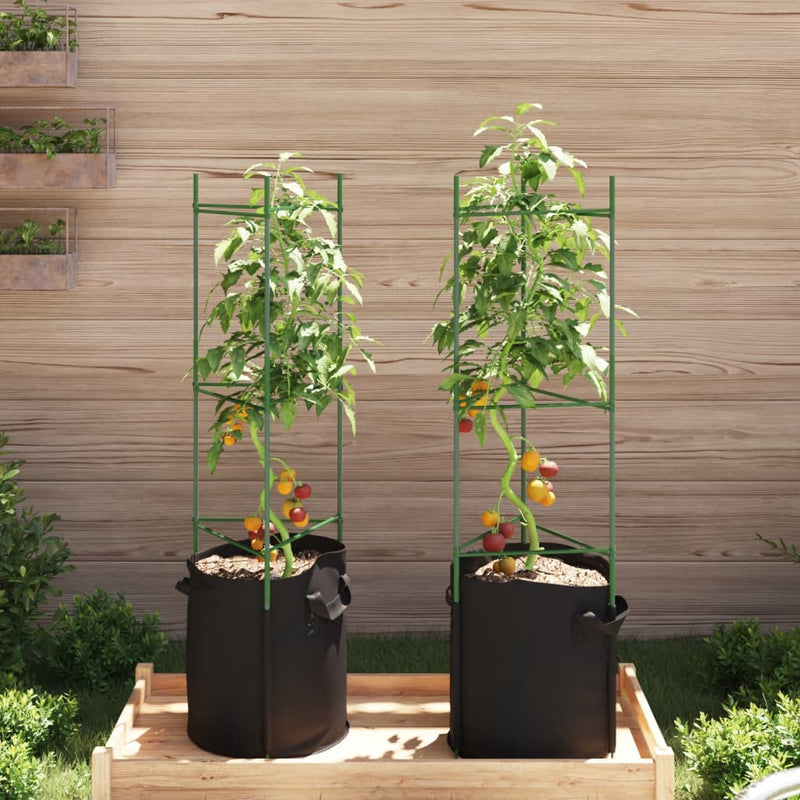 Load image into Gallery viewer, Vidaxl tomatenkooi met plantenzak 2 st 116 cm staal en polypropeen
