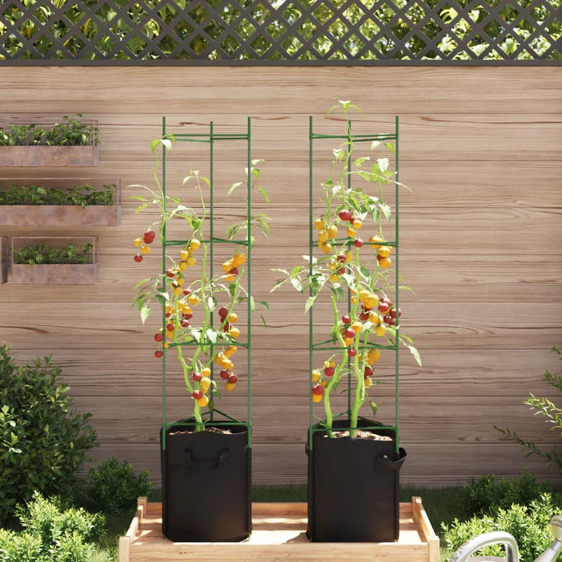 Load image into Gallery viewer, Vidaxl tomatenkooi met plantenzak 2 st 154 cm staal en polypropeen
