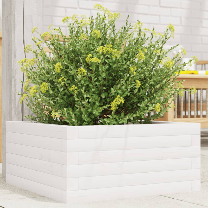 Load image into Gallery viewer, Vidaxl plantenbak 50x50x23 cm massief grenenhout wit
