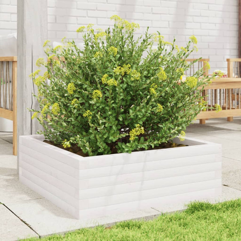 Load image into Gallery viewer, Vidaxl plantenbak 70x70x23 cm massief grenenhout wit
