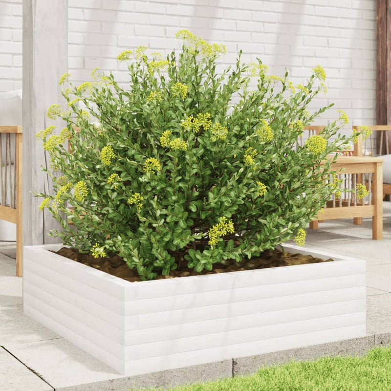Load image into Gallery viewer, Vidaxl plantenbak 80x80x23 cm massief grenenhout wit
