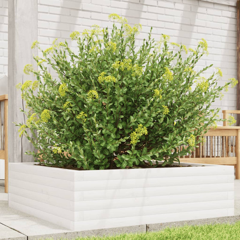 Load image into Gallery viewer, Vidaxl plantenbak 80x80x23 cm massief grenenhout wit

