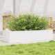 Vidaxl plantenbak 110x40x23 cm massief grenenhout wit