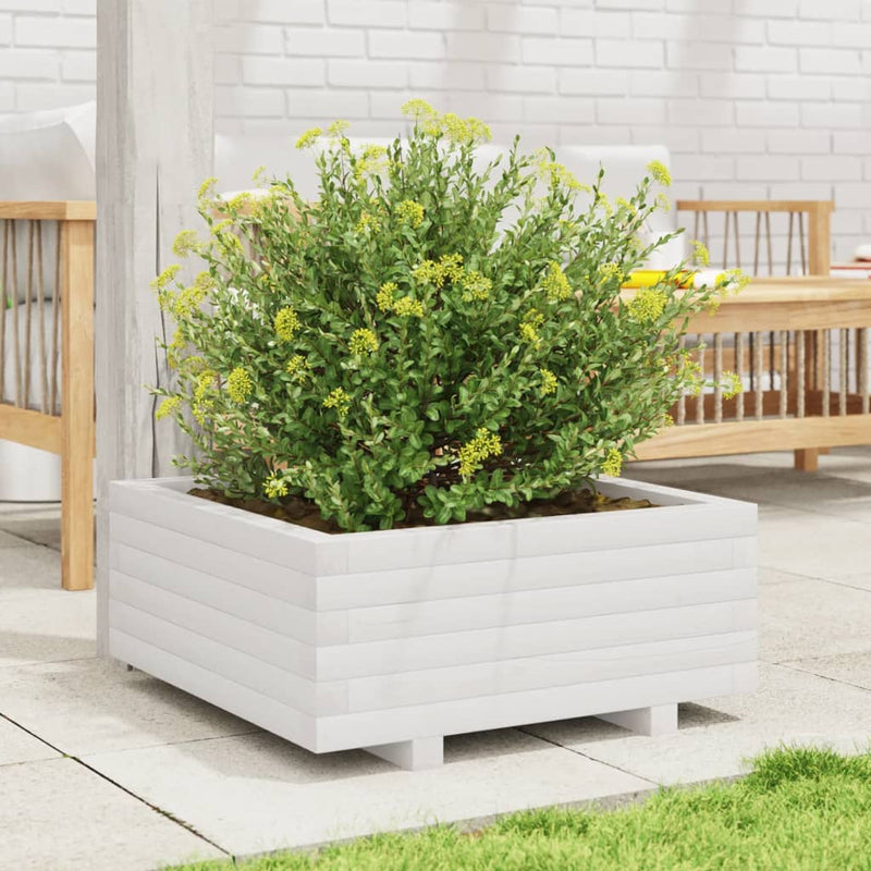 Load image into Gallery viewer, Vidaxl plantenbak 60x60x26,5 cm massief grenenhout wit
