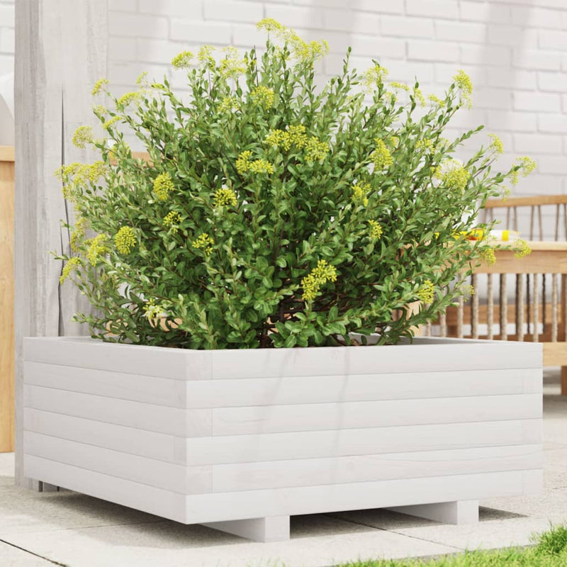 Load image into Gallery viewer, Vidaxl plantenbak 60x60x26,5 cm massief grenenhout wit

