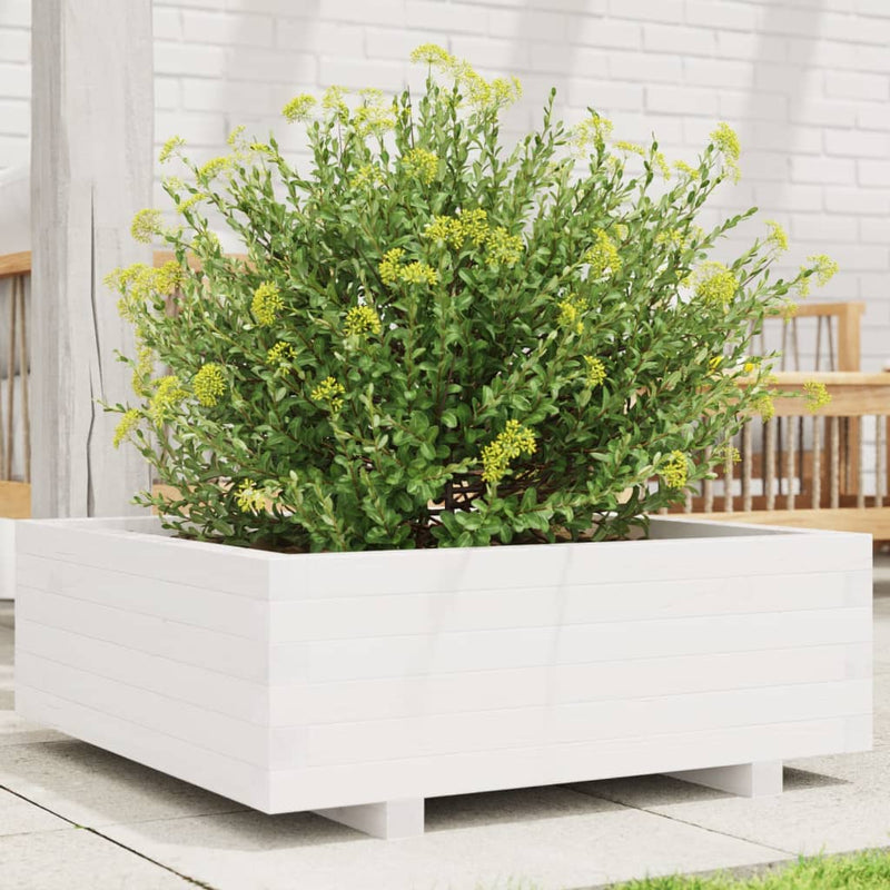 Load image into Gallery viewer, Vidaxl plantenbak 70x70x26,5 cm massief grenenhout wit
