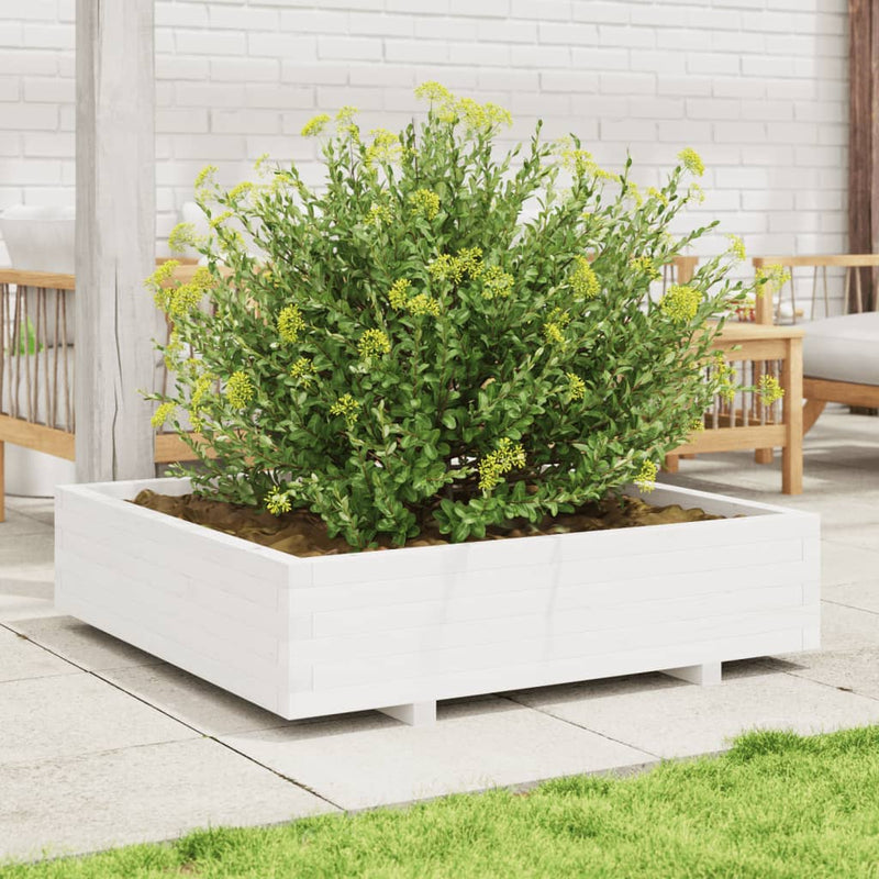 Load image into Gallery viewer, Vidaxl plantenbak 100x100x26,5 cm massief grenenhout wit
