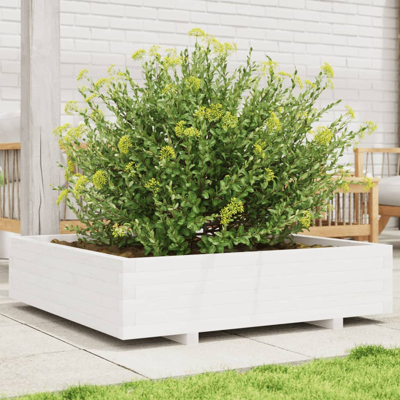 Load image into Gallery viewer, Vidaxl plantenbak 100x100x26,5 cm massief grenenhout wit
