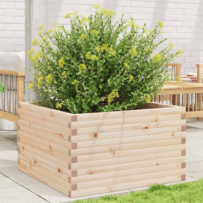 Load image into Gallery viewer, VidaXL Plantenbak 80x80x46 cm massief grenenhout
