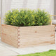 VidaXL Plantenbak 100x100x46 cm massief grenenhout