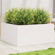 VidaXL Plantenbak 100x100x46 cm massief grenenhout wit