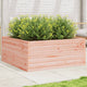 VidaXL Plantenbak 110x110x46 cm massief douglashout