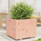 VidaXL Plantenbak 60x60x49,5 cm massief douglashout